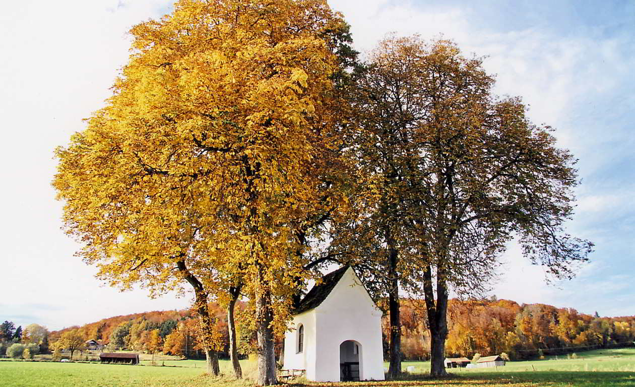 Erstschrift